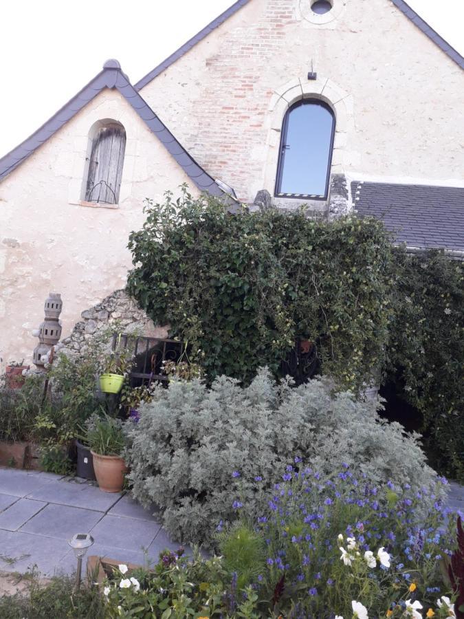 Gite Familial La Tabarderie Courcelles-de-Touraine Exterior photo